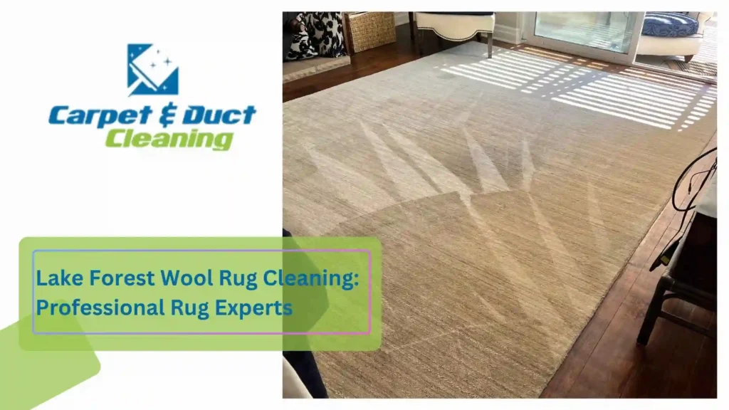 Lake Forest Wool Rug Cleaning Professional Rug Experts