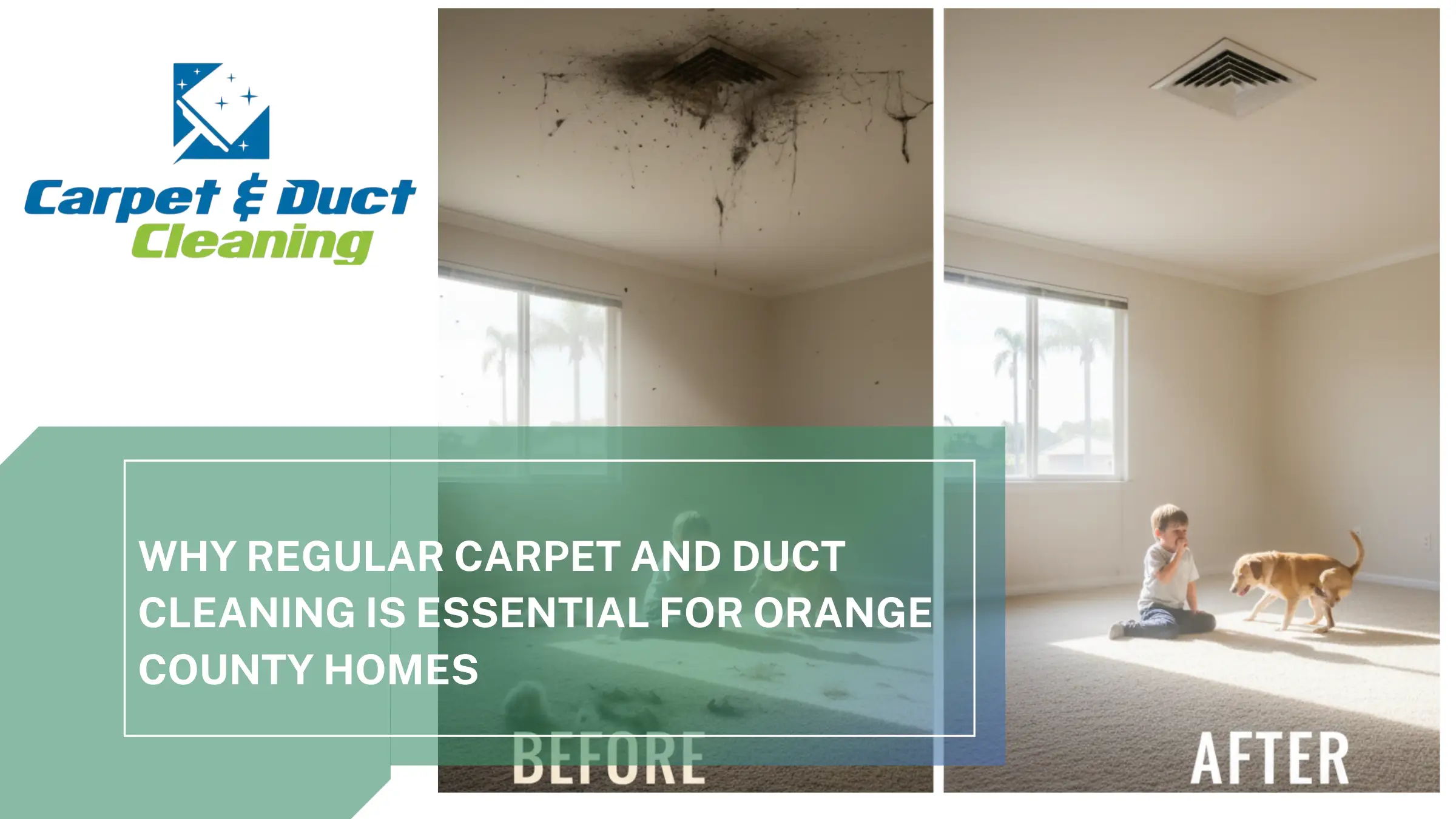 Essential Carpet & Duct Cleaning for OC Homes