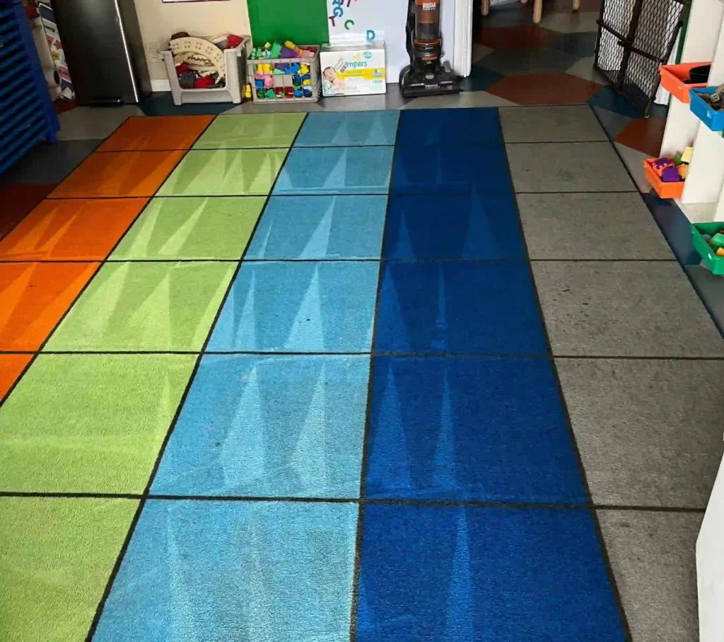 Rug Cleaning in home