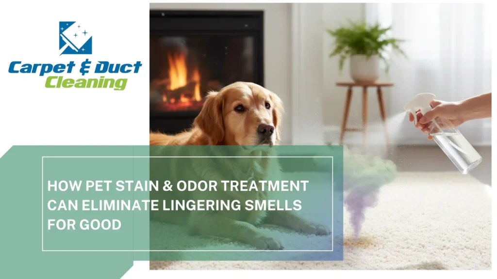 How-Pet-Stain-Odor-Treatment-Can-Eliminate-Lingering-Smells-for-Good