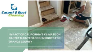 Impact-of-Californias-Climate-on-Carpet-Maintenance-Insights