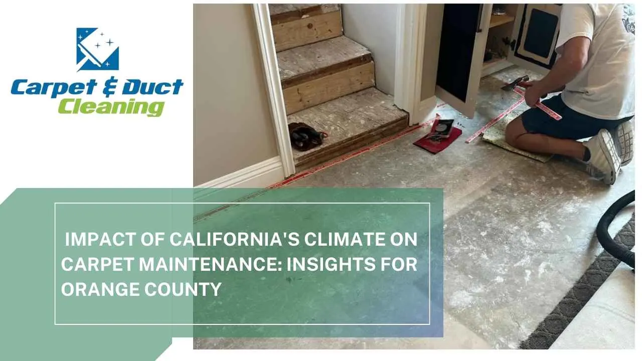Expert Carpet Care for the Orange County Climate