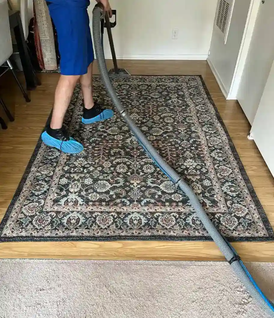 area rug cleaning by carpet and duct cleaning expert carpet cleaner