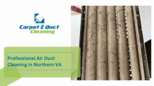 Professional Air Duct Cleaning in Northern VA