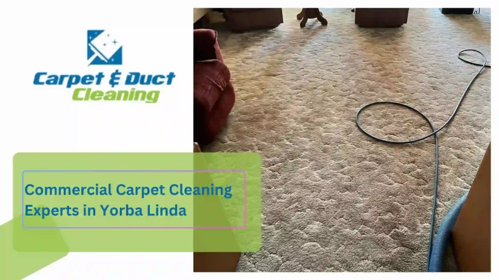 Commercial Carpet Cleaning Experts in Yorba Linda