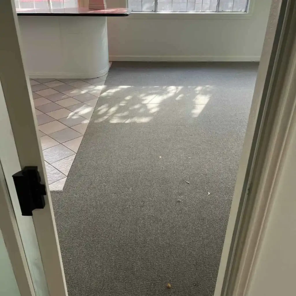 clean, fresh carpet