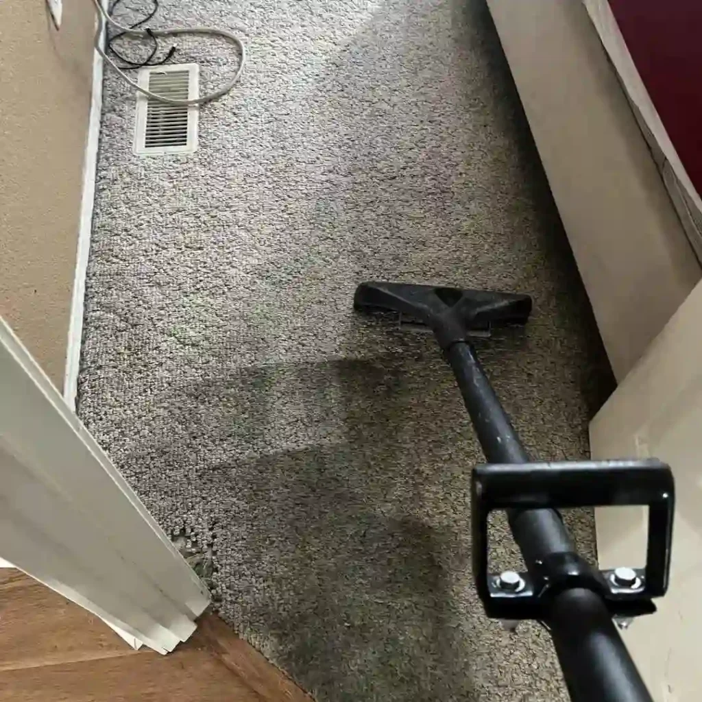 professional cleaning team in commercial space