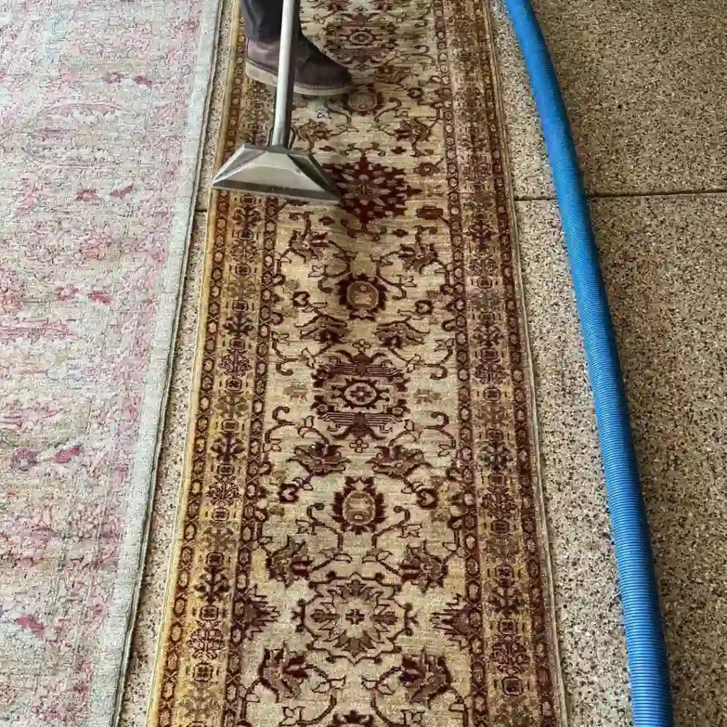 technician washing a rug in a controlled environment