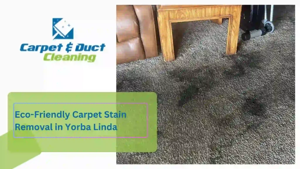 Eco-Friendly Carpet Stain Removal in Yorba Linda