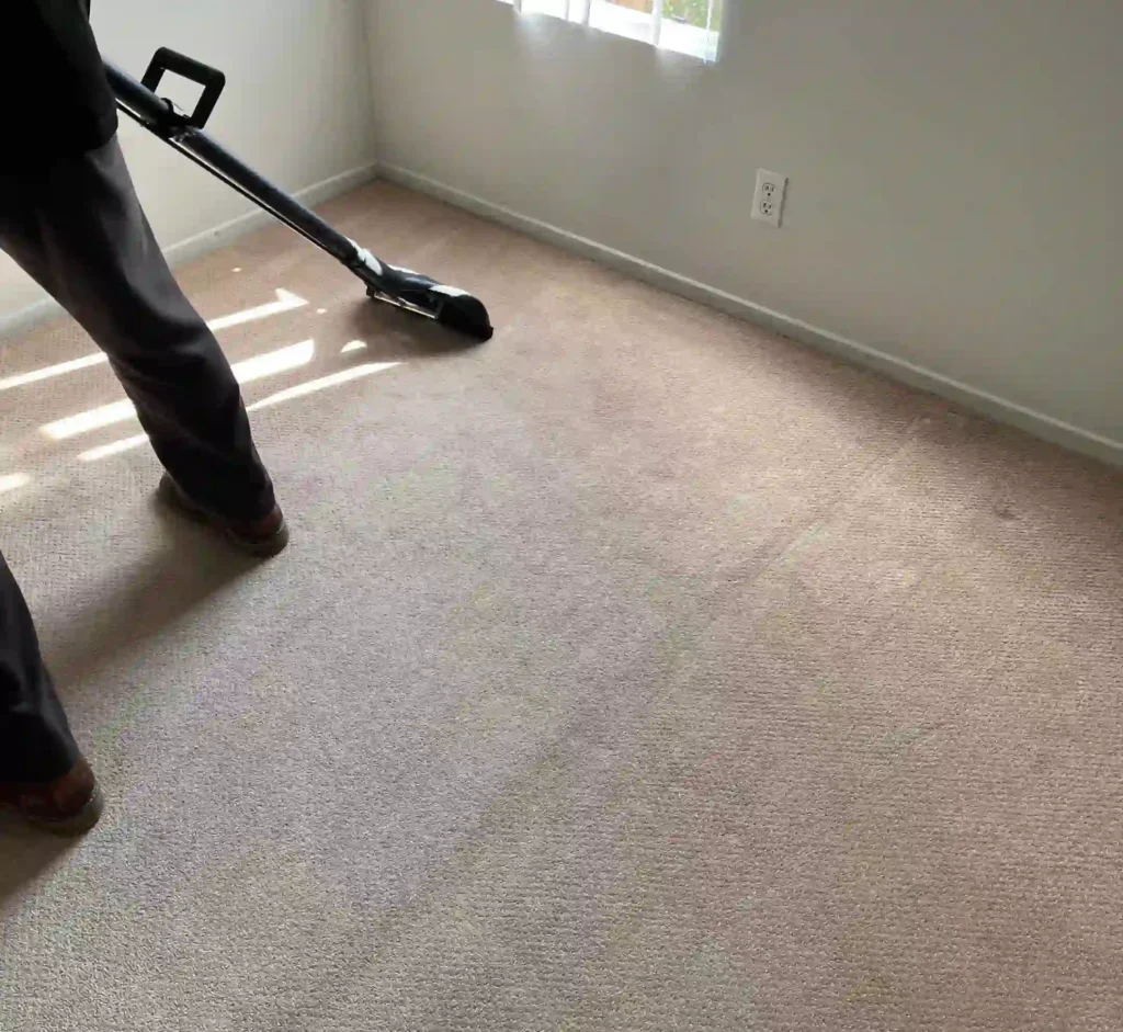 professional eco-friendly carpet cleaning technician removing stains