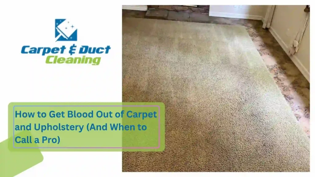 How to Get Blood Out of Carpet and Upholstery (And When to Call a Pro)