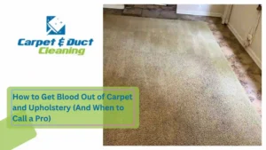 How to Get Blood Out of Carpet and Upholstery (And When to Call a Pro)